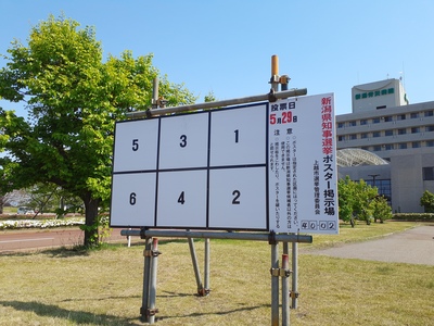 新潟県知事選挙